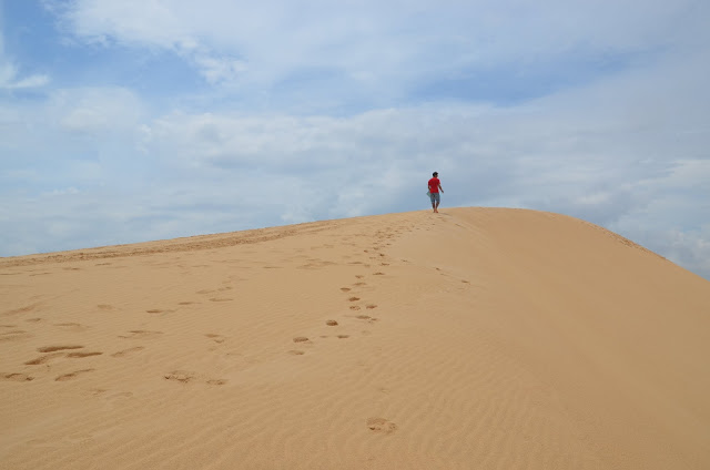 I’ve been through the desert on a board with no name