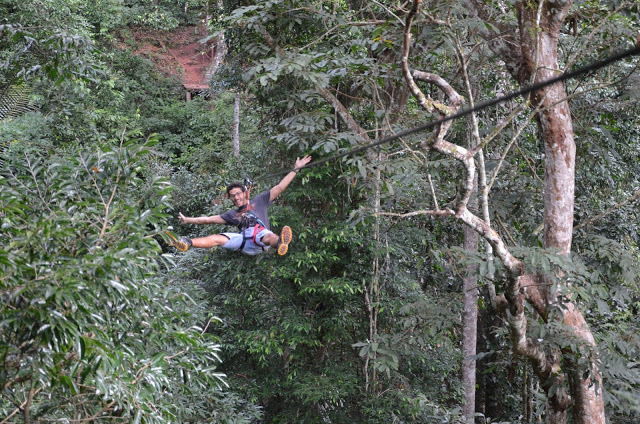 Moi Tarzan, Toi Gibbon.